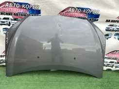 ����� Chevrolet Aveo 2011-2015 95102827 T300, �������� 95102827 ����