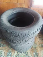 Brasa IceControl. ������, ����������, 2012 ���, �/�, ����� 30 % ����
