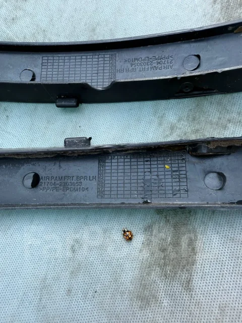 �������� �� ������ ���� ������ 2 �����
