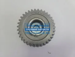 �������� ����������� �������� ������ ����� Vaden Original 7600 100 001 7600100001 ����