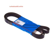 ������ ������������ Avantech Avantech 6PK1875 ����