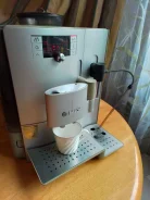 ����������. ����
