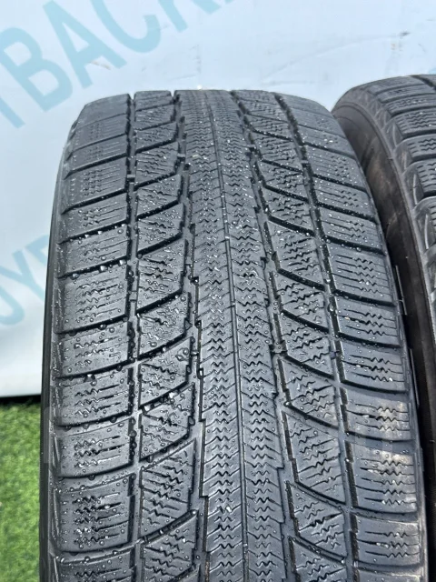 Triangle Snow Lion TR777. ������, ��� �����, 2019 ���, �/�, ����� 45 % ����
