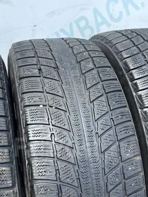Triangle Snow Lion TR777. ������, ��� �����, 2019 ���, �/�, ����� 45 % ����