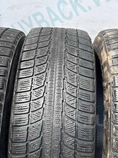 Triangle Snow Lion TR777. ������, ��� �����, 2019 ���, �/�, ����� 45 % ����