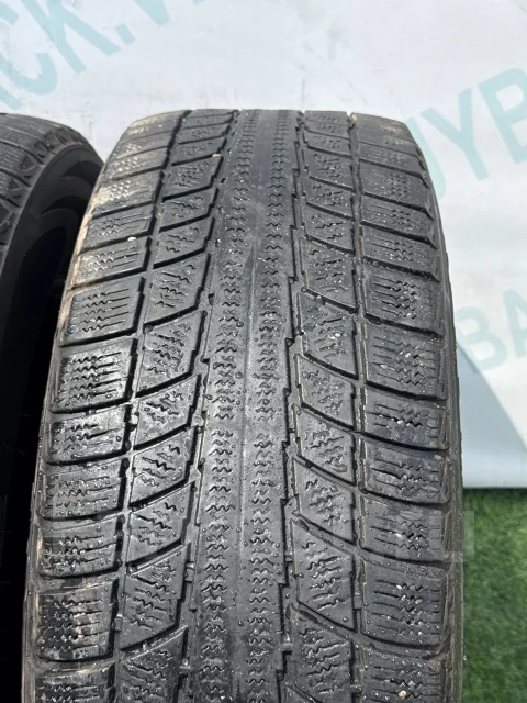Triangle Snow Lion TR777. ������, ��� �����, 2019 ���, �/�, ����� 45 % ����