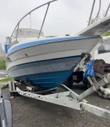 Bayliner. 1991 ���, ����� 8��., ��������� ������������, 300��.�., ������ ����