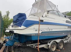 Bayliner. ����� 8��., ��������� ������������, 300��.�., ������ ����