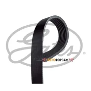 ������ ������������ Gates 7PK1910 XF Gates 7PK1910 ����
