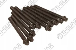 ����� � ����� / Tiguar ��� BMW M40 M42 M43 M50; 10X1.5X95; Tgchb102SET; 11121721939 81008600 802760 Tiguar TGCHB102SET ����