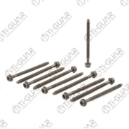 ����� � ����� /Tiguar ��� Ford Mazda Volvo; ���. 10/ ������ M10/ ��� ������ 1,5/ ����� 142��. ; Tgchb125SET; 1072042 087830 143202201 Tiguar TGCHB125S...