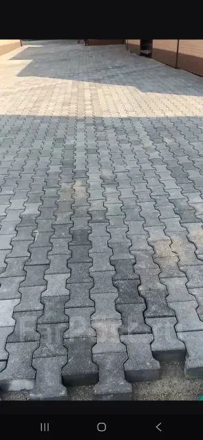 ���������. ����