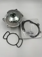 ����� Hepu Cadillac SRX/CTS/STS 2.6-3.6 V6 P365 P365 ����