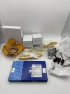 ���� ������. ���� �-� SWAG Z22YH/Z20NET Saab 9-3 B207 99133046 99133046 ����