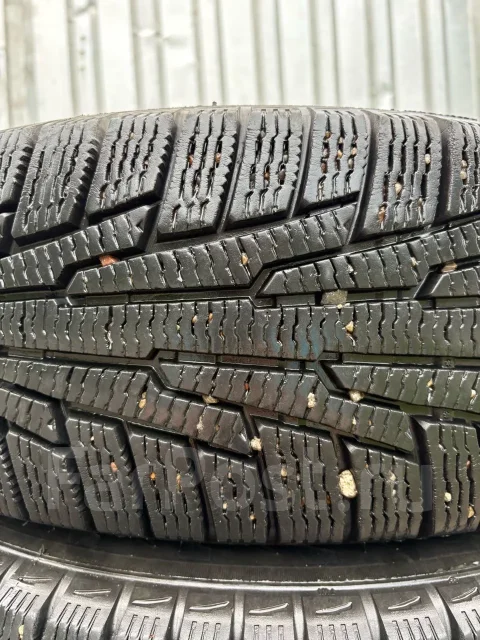 Nordman RS2. ������, ��� �����, �/�, ����� 10 % ����