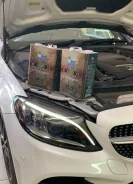 MolyGreen Euro Protect. 5W-30, �������������, 3��. ����