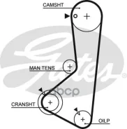 ���. �5115 ������ ��� Gates Gates ���. 5115 120ZA19 T-064 (41120*3/4) 5115 ����