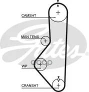 ���. �5149XS ������ ��� Gates Gates ���. 5149XS 106MR19 T-807/T-1319 (58106*3/4) 5149XS ����