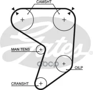 ���. �5196 ������ ��� Gates Gates ���. 5196 169MY25 �-101 (39169*1) 5196 ����