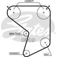 ���. �5166 ������ ��� Gates Gates ���. 5166 142ZA25 T-074 (41142*1) 5166 ����