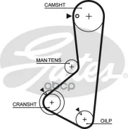 ���. �5254XS ������ ��� Gates Gates ���. 5254XS 123ZBS19 T-124/�-1157 5254XS ����