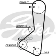 ���. �5256XS ������ ��� Gates Gates ���. 5256XS 122RU24 T-155/T-1180 (76122*24) 5256XS ����