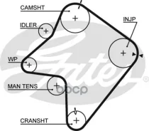 ���. �5354XS ������ ��� Gates Gates ���. 5354XS 162S8M30 T-862/T-1320 (90162*30) 5354XS ����