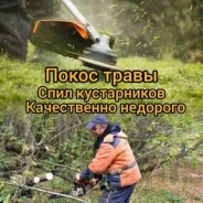 ������ ������ �����. ����