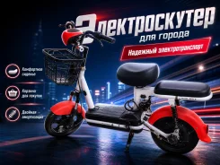 ����� �������� ������ ��� wb,ozon, ����� ����