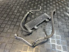 �������� �������� Honda X11 SC42 ����