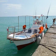 Yanmar. 1971 ���, ����� 8��., ��������� ������������, 40��.�., ������ ����