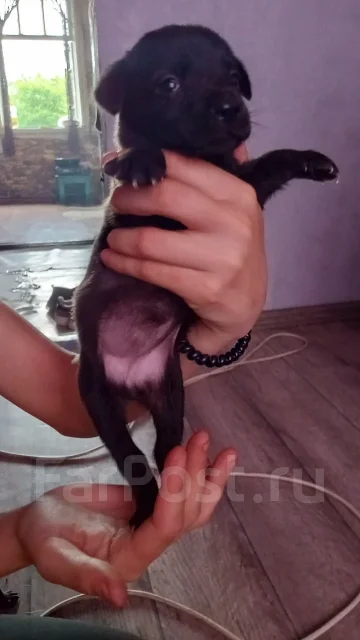 ������. ����