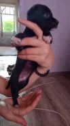 ������. ����