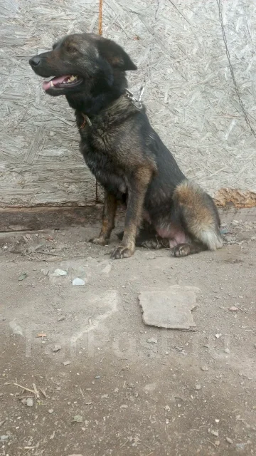 ������. ����
