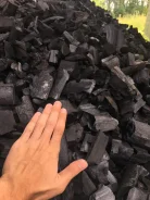 ����� ��� �������. ����