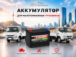 Zubr. 80��.�., D26, 740��., ������, ������������ ������ ����