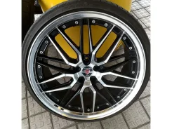 Kyoho Steiner LMX