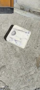 ���� ���������. ����