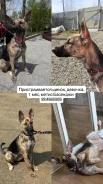 ������. ����