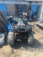 Grizzly 200. ��������, ��� ���\���, �� ����