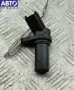 ������ ��������� ��������� Opel Signum (2003-2008) ����