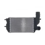 ���������� Jumper/Ducato/Boxer 94-06 1307012080 1307012080 ����