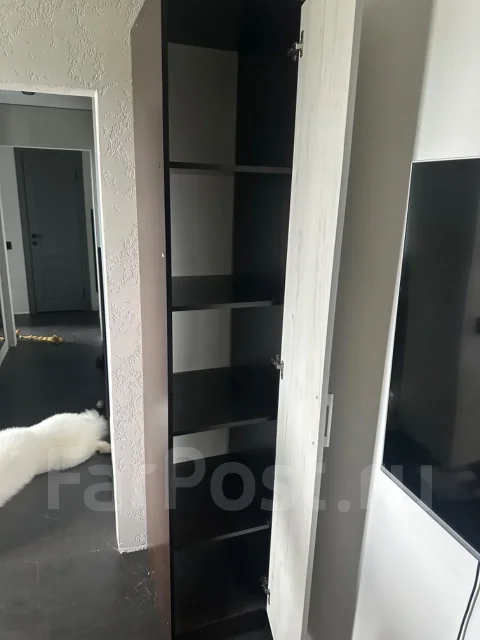 ���� ����