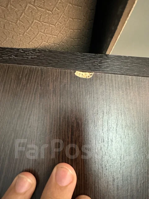 ���� ����