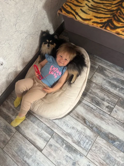 ����. ����