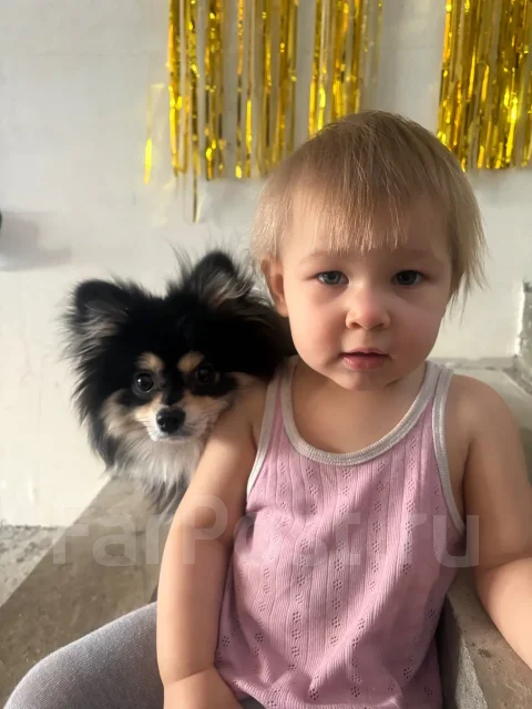 ����. ����