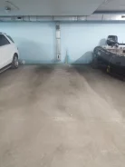 ����� �����������. ����