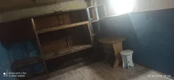 ������ �����������. ����