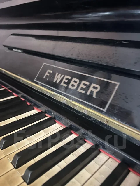 ����������. ����