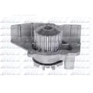 ������� ����� DOLZ C117 C117 ����